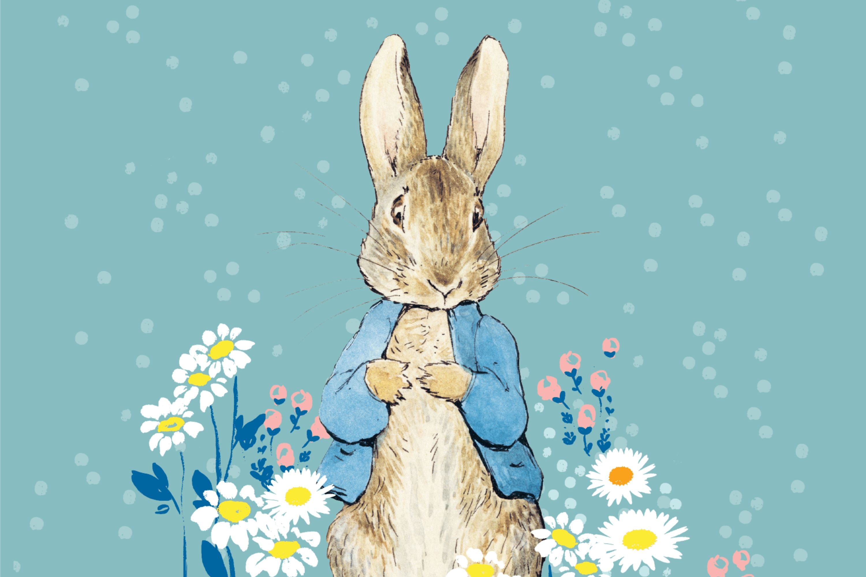 Who Is Peter Rabbit? - Tea Tales - New English Teas