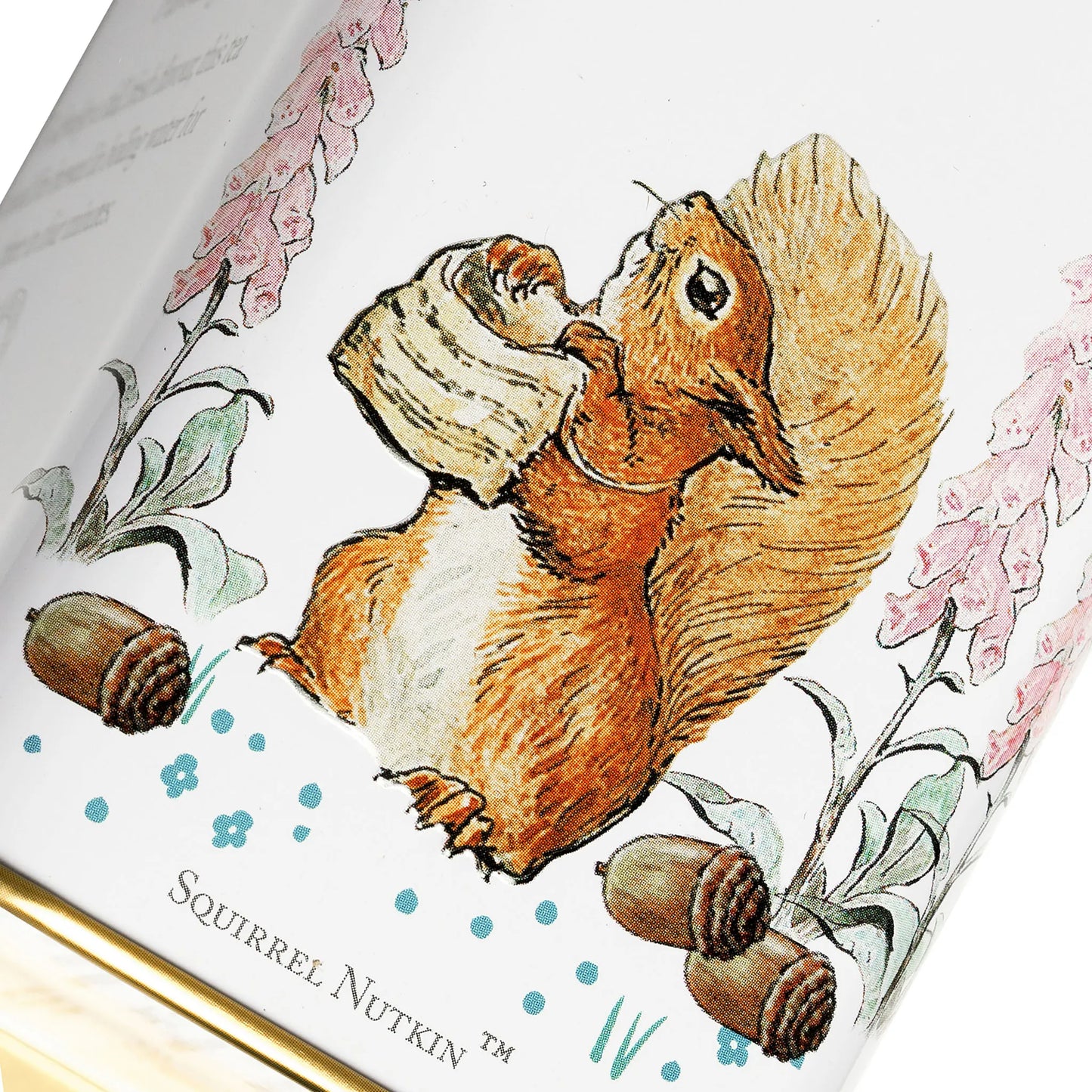 Beatrix Potter Portrait Tea Tin - Jemima Puddle Duck - New English Teas