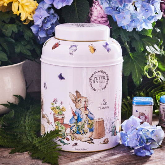 Beatrix Potter Tea Caddy with 240 English Breakfast Teabags Black Tea New English Teas 